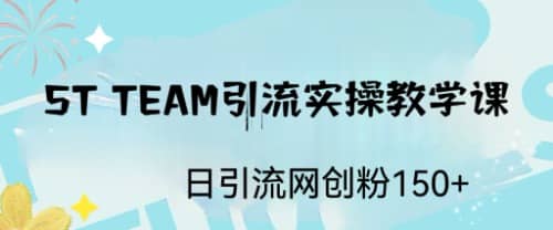 ST TEAM引流实操课，日引流网创粉100+-诸葛网创