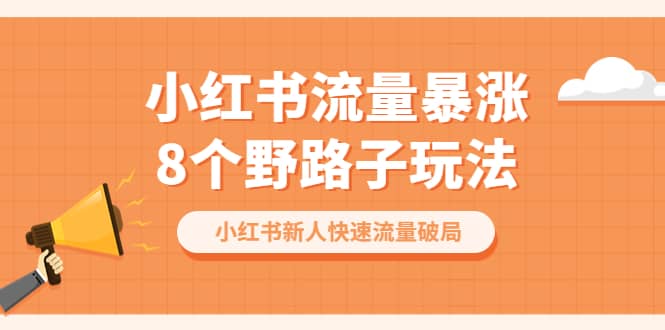 小红书流量-暴涨8个野路子玩法：小红书新人快速流量破局（8节课）-诸葛网创