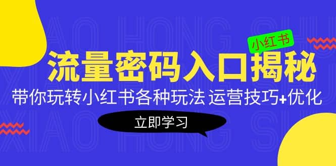 小红书流量密码入口揭秘：带你玩转小红书各种玩法 运营技巧+优化-诸葛网创