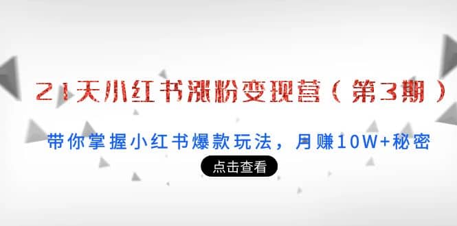 21天小红书涨粉变现营（第3期）：带你掌握小红书爆款玩法，月赚10W+秘密-诸葛网创