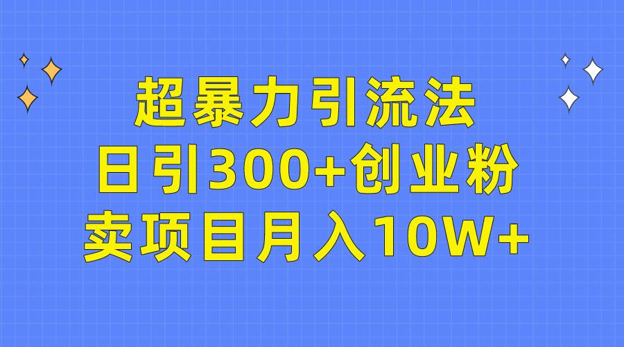 超暴力引流法，日引300+创业粉，卖项目月入10W+-诸葛网创