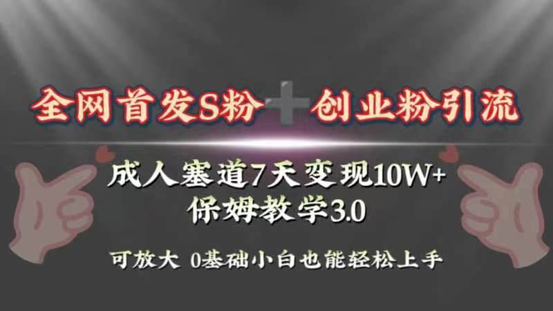 全网首发s粉加创业粉引流变现，成人用品赛道7天变现10w+保姆教学3.0-诸葛网创