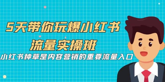 5天带你玩爆小红书流量实操班，小红书种草是内容营销的重要流量入口-诸葛网创