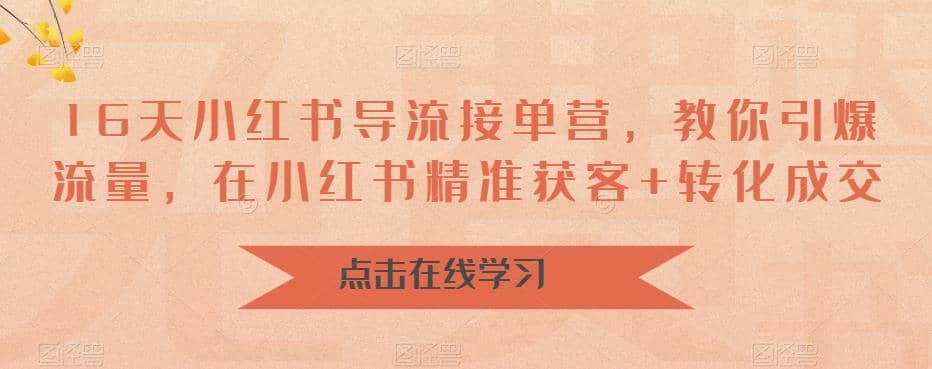 16天-小红书 导流接单营，教你引爆流量，在小红书精准获客+转化成交-诸葛网创