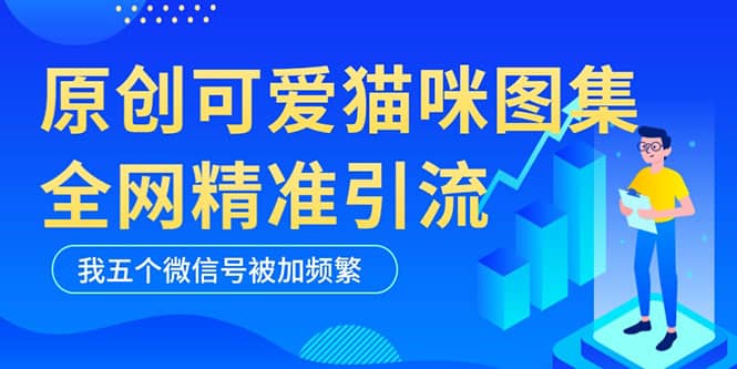 黑科技纯原创可爱猫咪图片，全网精准引流，实操5个VX号被加频繁-诸葛网创