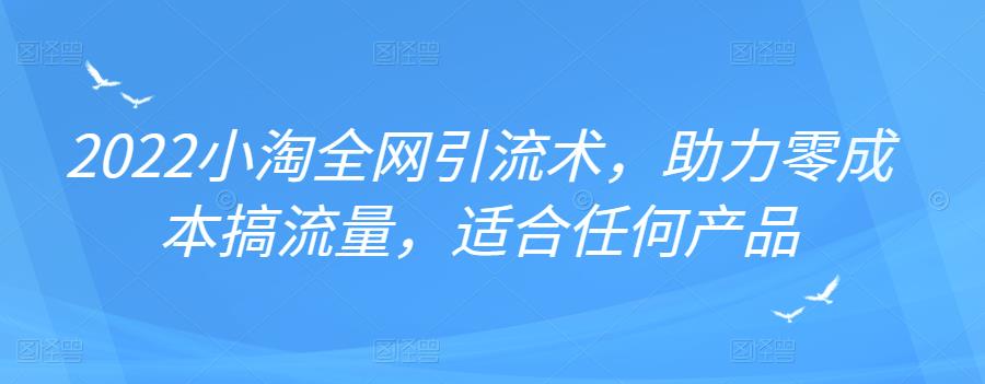 2022年小淘全网引流术，助力零成本搞流量，适合任何产品-诸葛网创