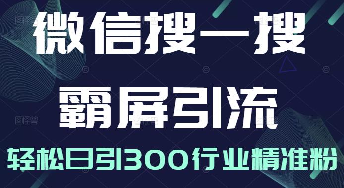 微信搜一搜霸屏引流课，打造被动精准引流系统，轻松日引300行业精准粉【无水印】-诸葛网创