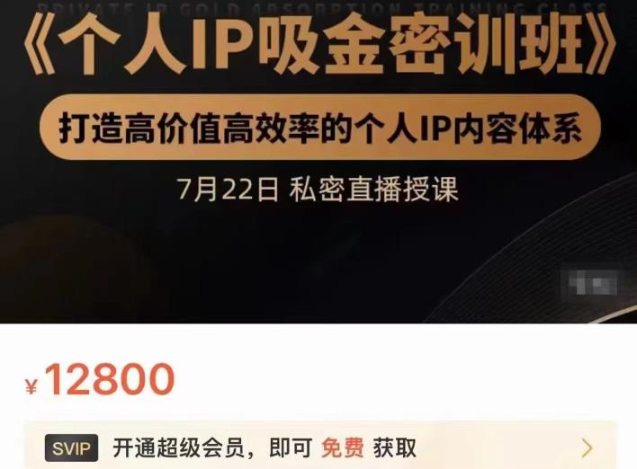 个人IP吸金密训班，打造高价值高效率的个人IP内容体系（价值12800元）-诸葛网创