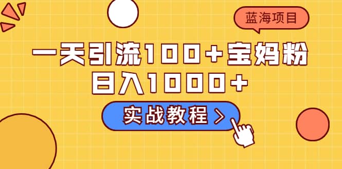 一天引流100+宝妈粉，日入1000+的蓝海项目（实战教程）-诸葛网创