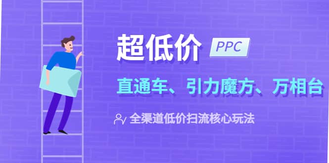 2023超低价·ppc—“直通车、引力魔方、万相台”全渠道·低价扫流核心玩法-诸葛网创