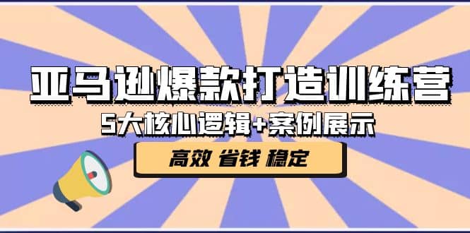 亚马逊爆款打造训练营：5大核心逻辑+案例展示 打造爆款链接 高效 省钱 稳定-诸葛网创