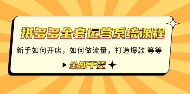 拼多多全套运营系统课程：新手如何开店 如何做流量 打造爆款 等等 全部干货-诸葛网创