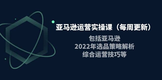 亚马逊运营实操课（每周更新）包括亚马逊2022选品策略解析，综合运营技巧等-诸葛网创