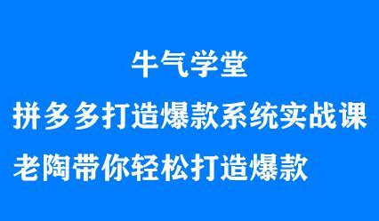 牛气学堂拼多多打造爆款系统实战课，老陶带你轻松打造爆款-诸葛网创