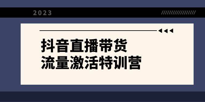 抖音直播带货-流量激活特训营，入行新手小白主播必学（21节课+资料）-诸葛网创