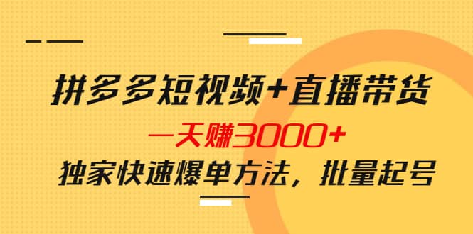 拼多多短视频+直播带货，一天赚3000+独家快速爆单方法，批量起号-诸葛网创