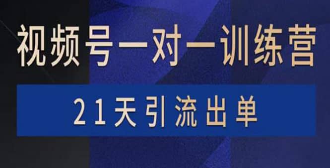 视频号训练营：带货，涨粉，直播，游戏，四大变现新方向，21天引流出单-诸葛网创