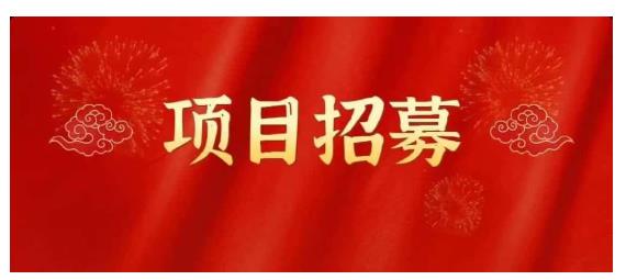 高鹏圈·蓝海中视频项目，长期项目，可以说字节不倒，项目就可以一直做！-诸葛网创