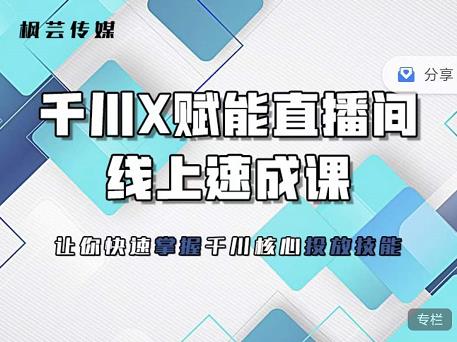 枫芸传媒-线上千川提升课，提升千川认知，提升千川投放效果-诸葛网创