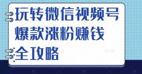 玩转微信视频号爆款涨粉赚钱全攻略，让你快速抓住流量风口，收获红利财富-诸葛网创