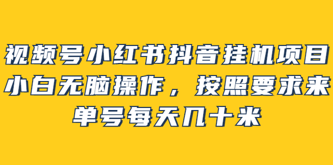 视频号小红书抖音挂机项目，小白无脑操作，按照要求来，单号每天几十米-诸葛网创