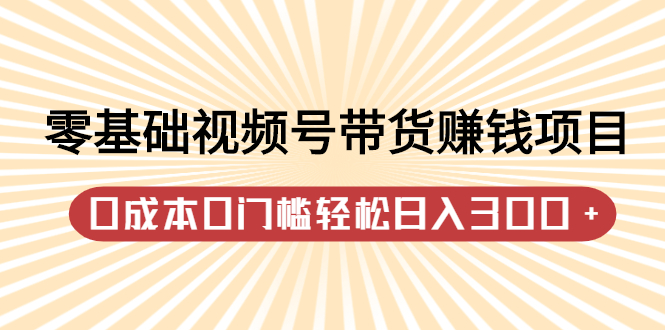 零基础视频号带货赚钱项目，0成本0门槛轻松日入300+【视频教程】-诸葛网创