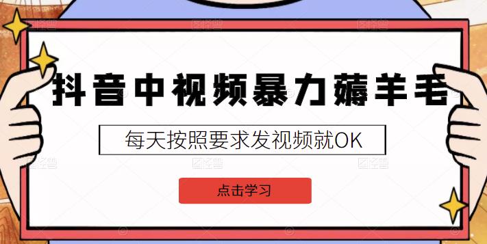 2022抖音中视频暴力薅羊毛白嫖项目：新号每天20块，老号几天几百块，可多号-诸葛网创