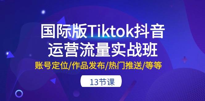 国际版Tiktok抖音运营流量实战班：账号定位/作品发布/热门推送/等等-13节-诸葛网创