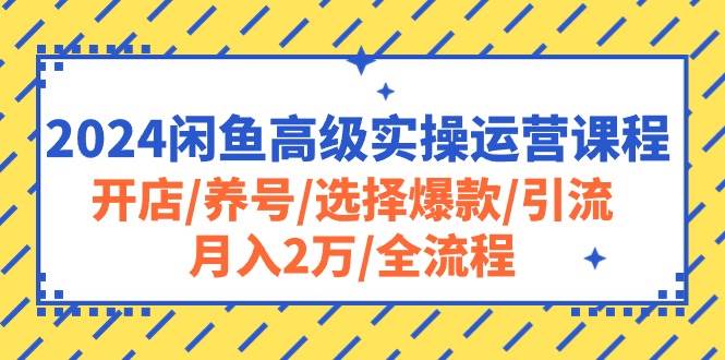 2024闲鱼高级实操运营课程：开店/养号/选择爆款/引流/月入2万/全流程-诸葛网创