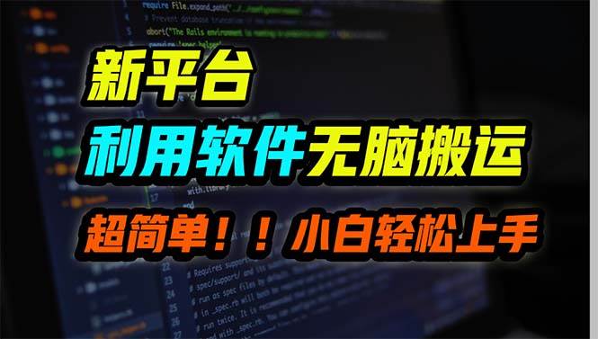 新平台用软件无脑搬运，月赚10000+，小白也能轻松上手-诸葛网创