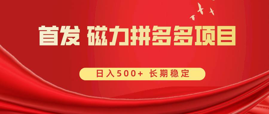 首发 磁力拼多多自撸  日入500+-诸葛网创