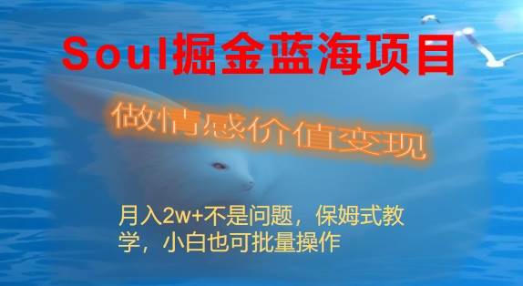 Soul掘金蓝海项目细分赛道，做情感价值变现，月入2w+不是问题-诸葛网创