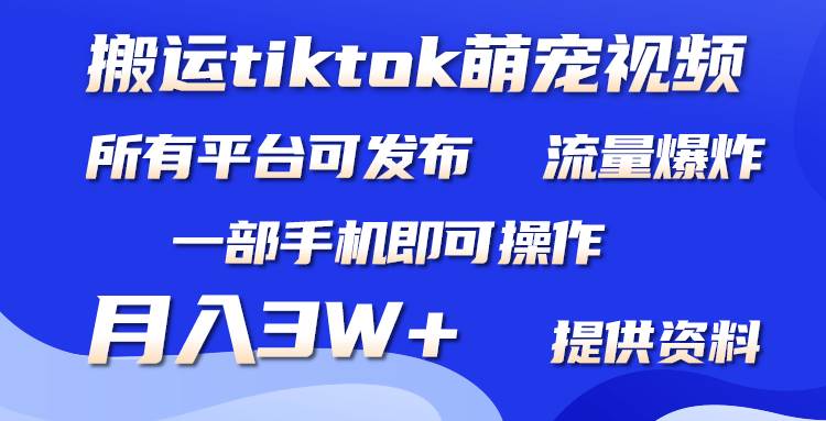 搬运Tiktok萌宠类视频，一部手机即可。所有短视频平台均可操作，月入3W+-诸葛网创