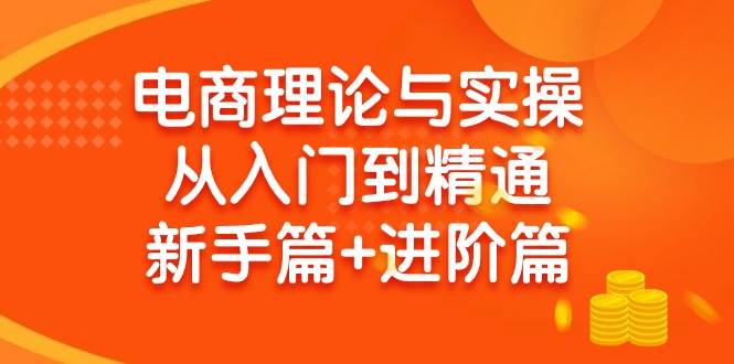 电商理论与实操从入门到精通 新手篇+进阶篇-诸葛网创