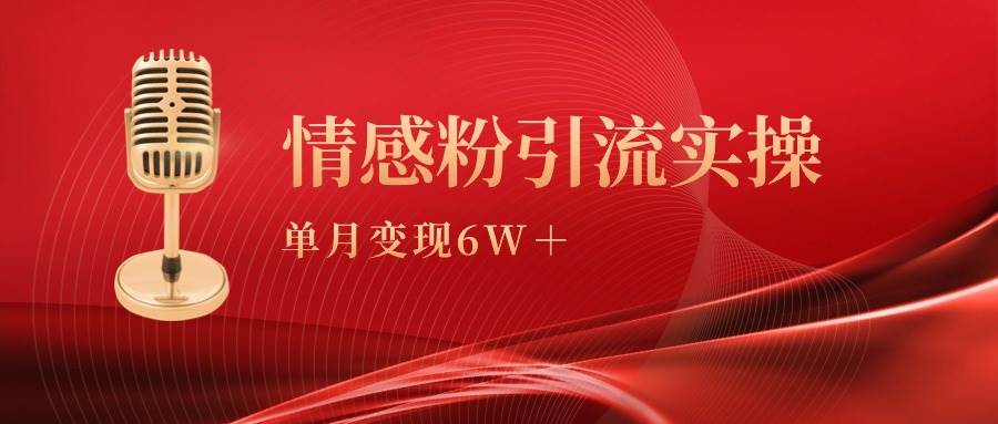 单月变现6w+，情感粉引流变现实操课-诸葛网创