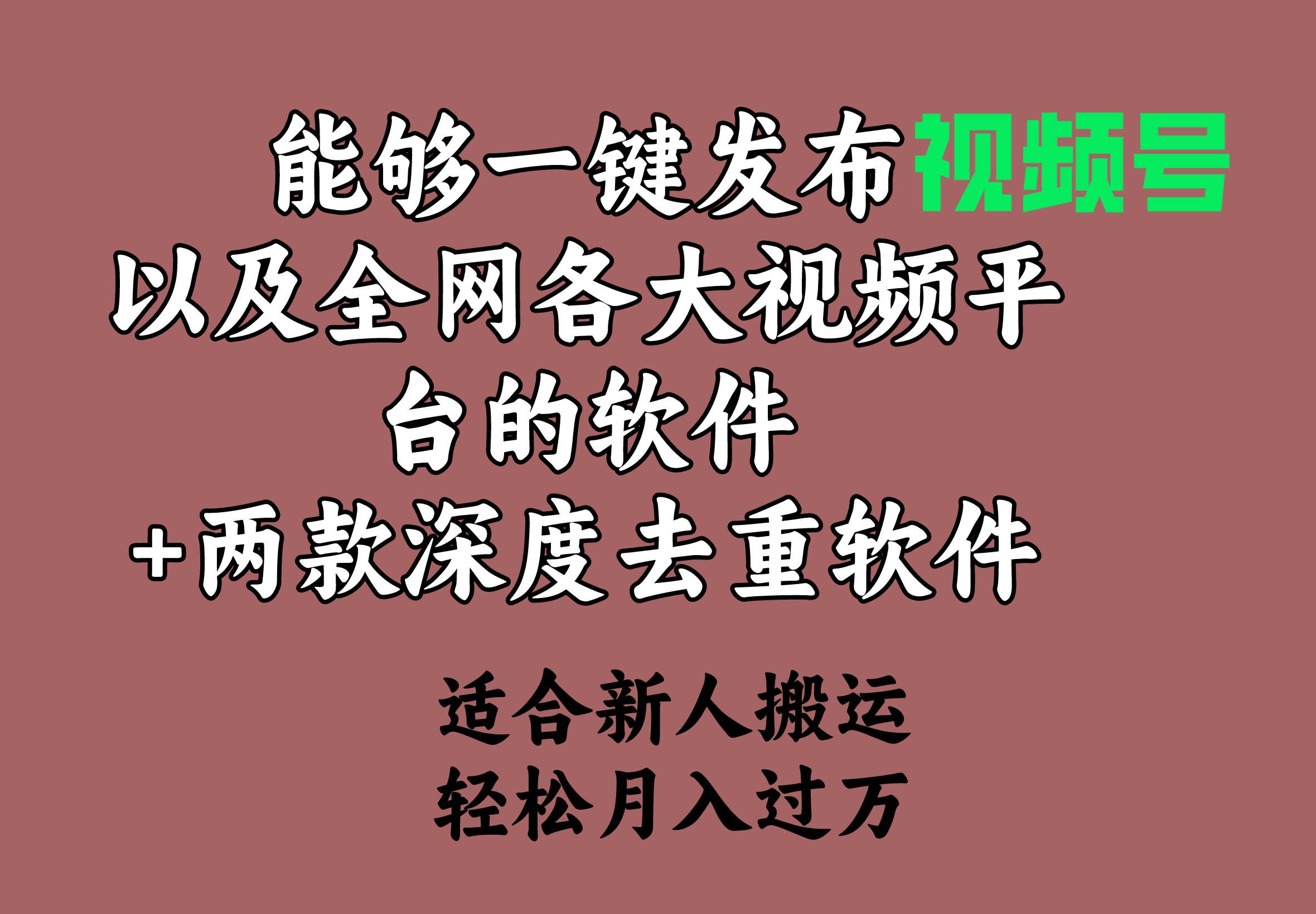 能够一键发布视频号以及全网各大视频平台的软件+两款深度去重软件 适合…-诸葛网创