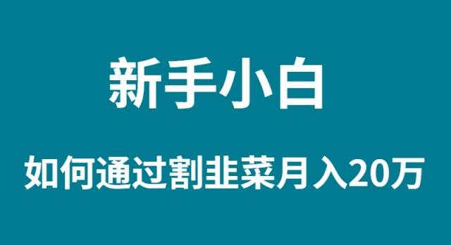 新手小白如何通过割韭菜月入 20W-诸葛网创