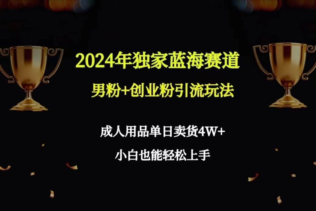 2024年独家蓝海赛道男粉+创业粉引流玩法，成人用品单日卖货4W+保姆教程-诸葛网创