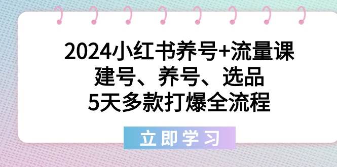 2024小红书养号+流量课：建号、养号、选品，5天多款打爆全流程-诸葛网创