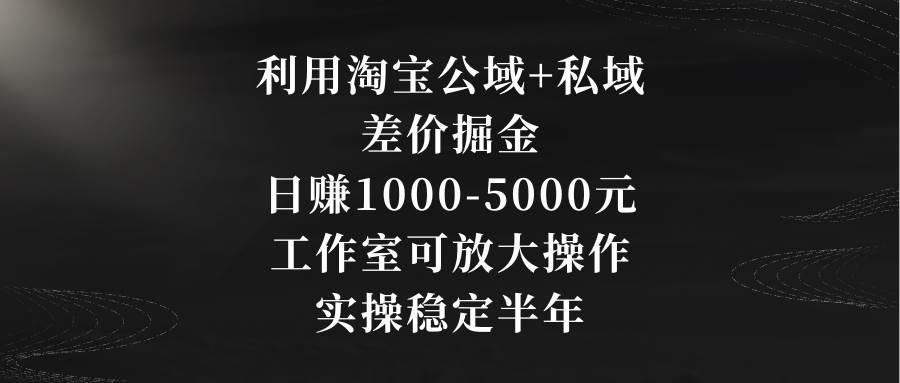 利用淘宝公域+私域差价掘金，日赚1000-5000元，工作室可放大操作，实操…-诸葛网创