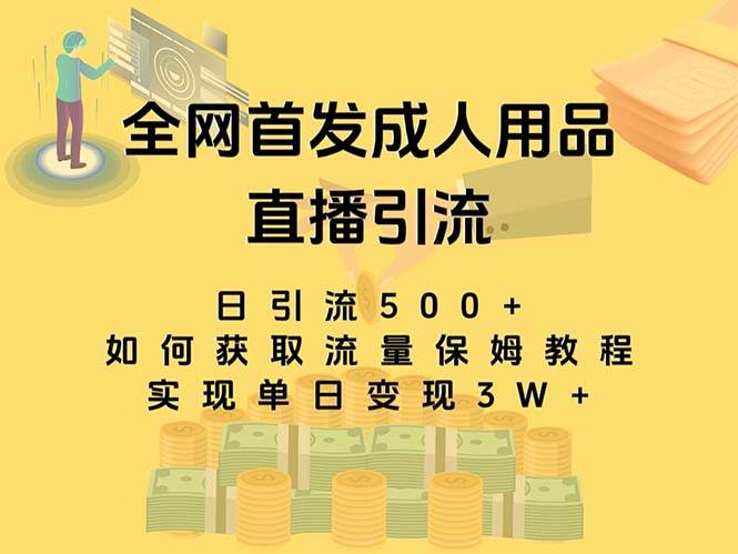 最新全网独创首发，成人用品直播引流获客暴力玩法，单日变现3w保姆级教程-诸葛网创