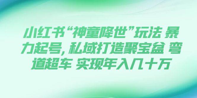 小红书“神童降世”玩法 暴力起号,私域打造聚宝盆 弯道超车 实现年入几十万-诸葛网创