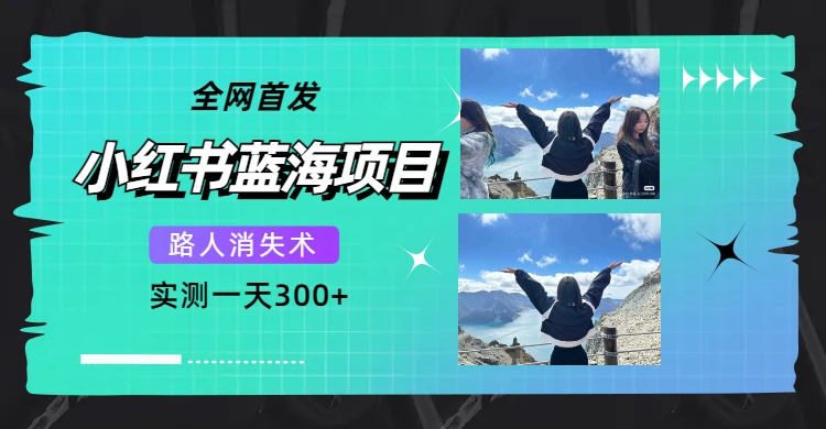 全网首发，小红书蓝海项目，路人消失术，实测一天300+（教程+工具）-诸葛网创