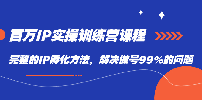 百万IP实战训练营课程，完整的IP孵化方法，解决做号99%的问题-诸葛网创