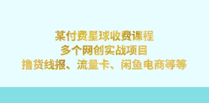 某付费星球课程：多个网创实战项目，撸货线报、流量卡、闲鱼电商等等-诸葛网创