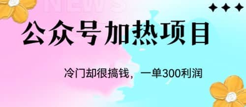 冷门公众号加热项目，一单利润300+-诸葛网创