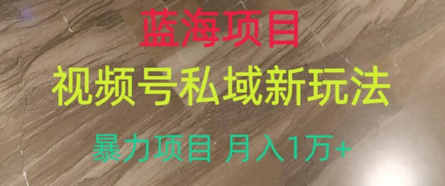 蓝海项目，视频号私域新玩法，暴力项目月入1万+【揭秘】-诸葛网创