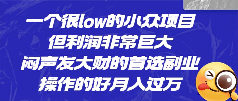 一个很low的小众项目，但利润非常巨大，闷声发大财的首选副业，月入过万-诸葛网创