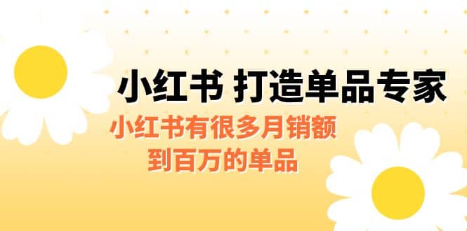 某公众号付费文章《小红书 打造单品专家》小红书有很多月销额到百万的单品-诸葛网创