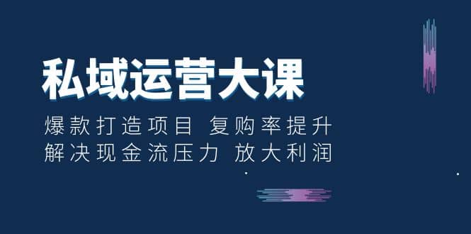 私域运营大课：爆款打造项目 复购率提升 解决现金流压力 放大利润-诸葛网创